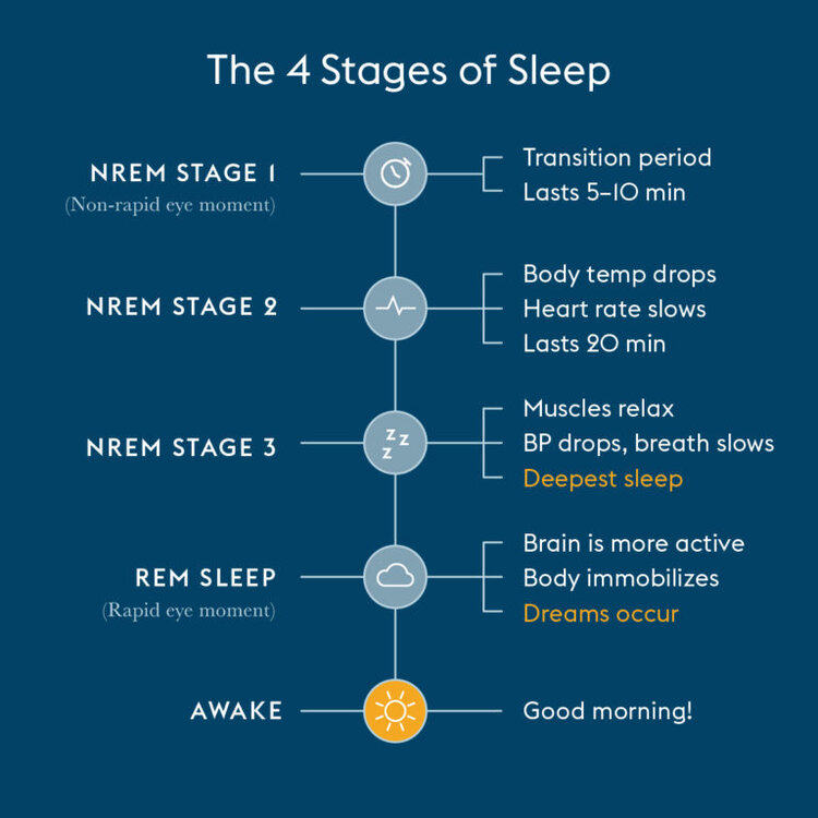 How Hormones Affect Our Sleep | Make Care Health