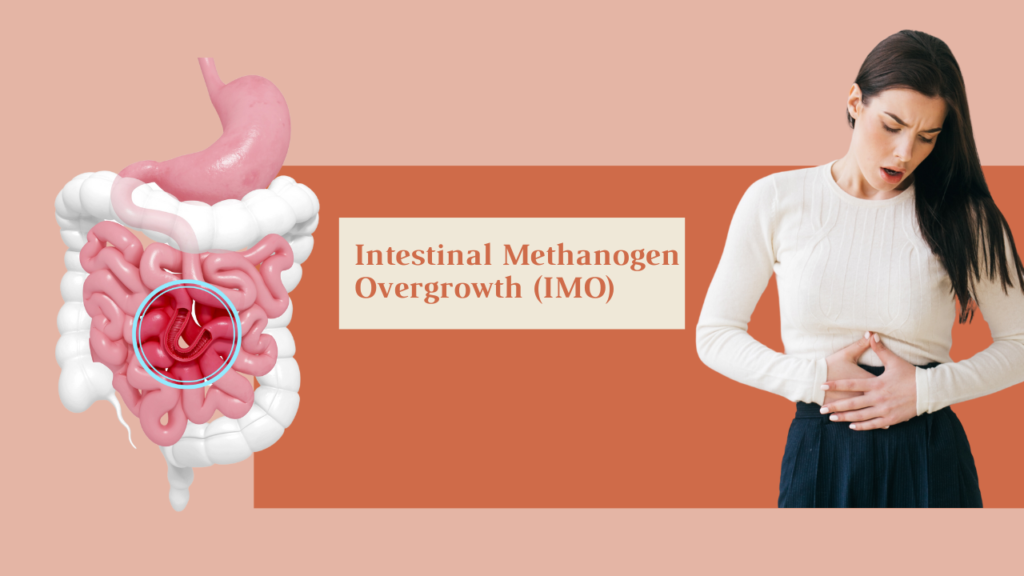 intestinal methanogen overgrowth